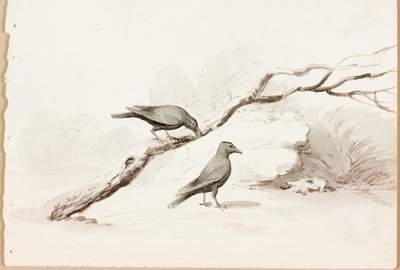 Two Black Crows by Thomas Bewick